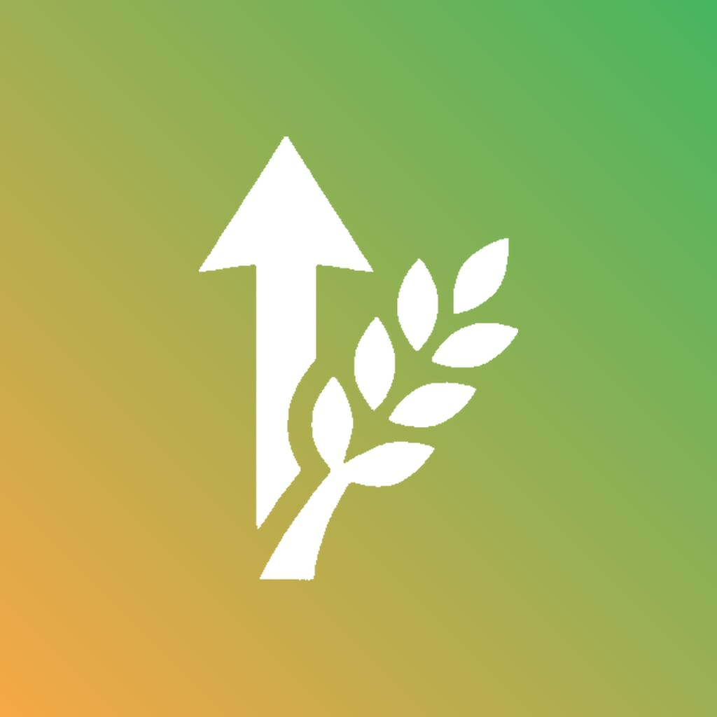 Mandi Connect Logo